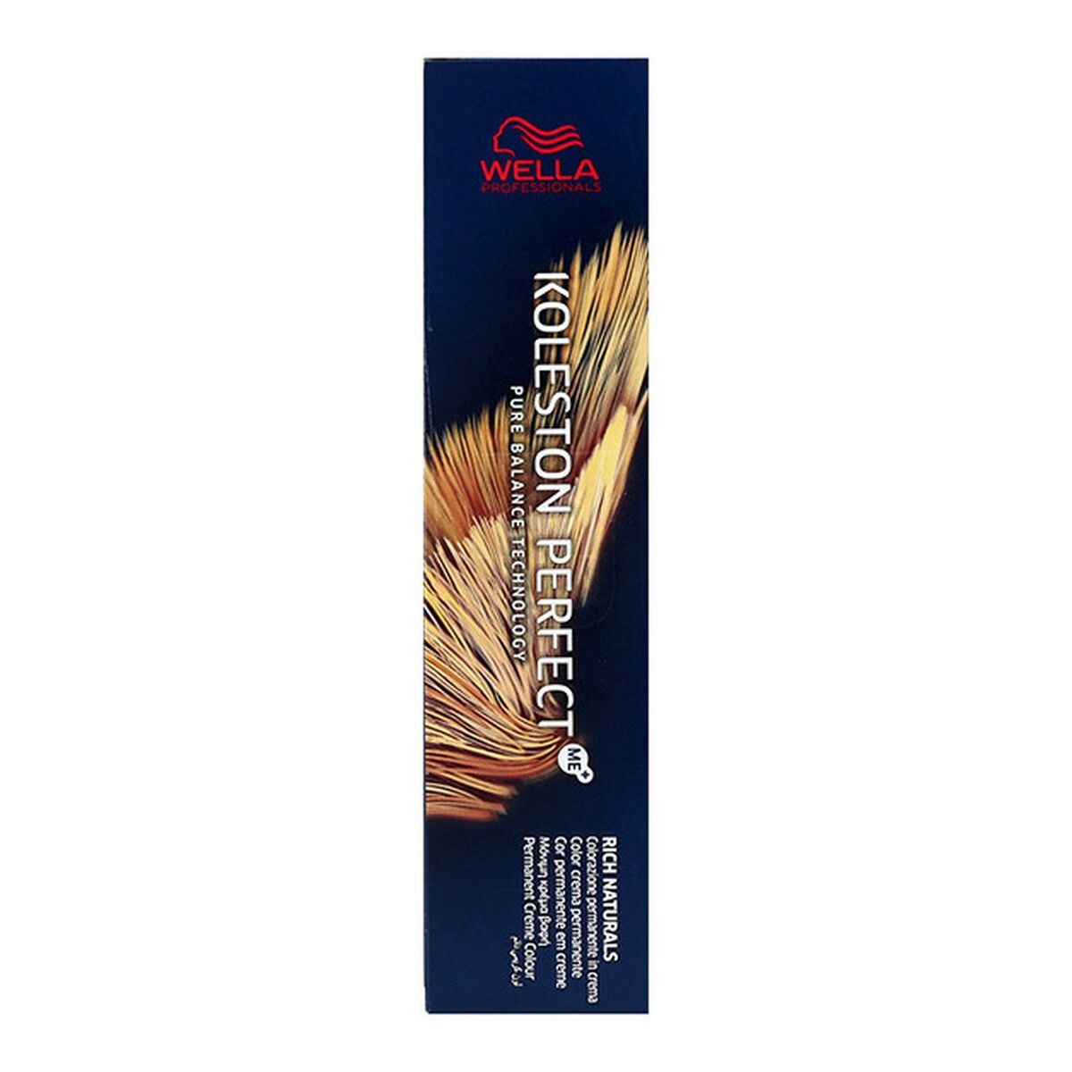 S4246691_0 S4246691_0