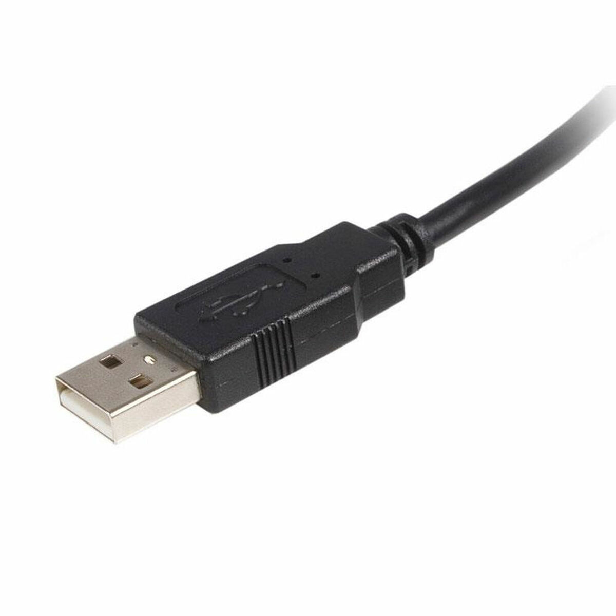 S55056825_2 S55056825_2